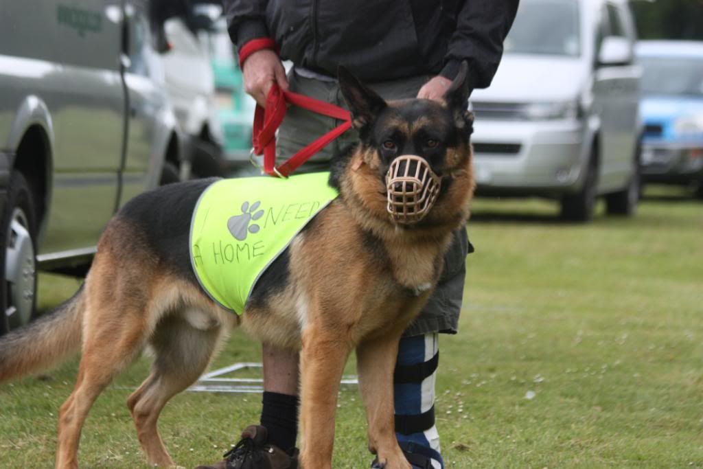 Shadow gorgeous hunk homed IMG_8639