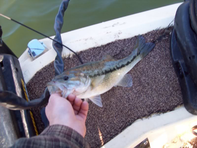 11/20/08 Lake Lanier bassin report (with pics) 100_0050