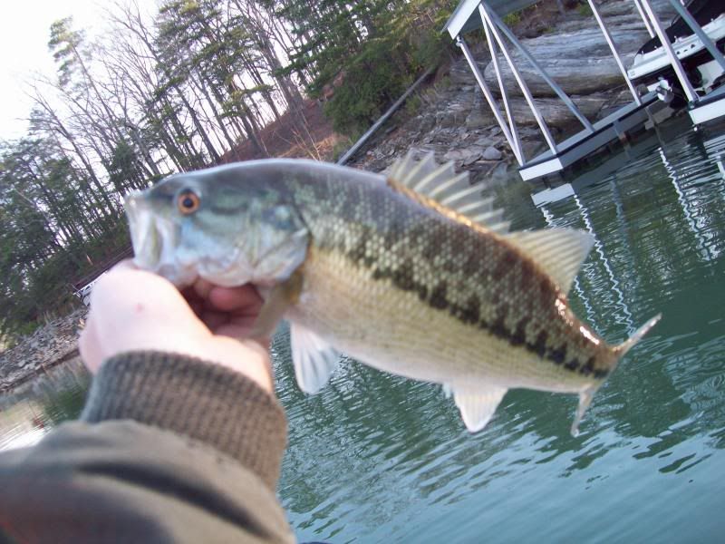 JC's 2009 Lake Lanier fishing reports 100_0230