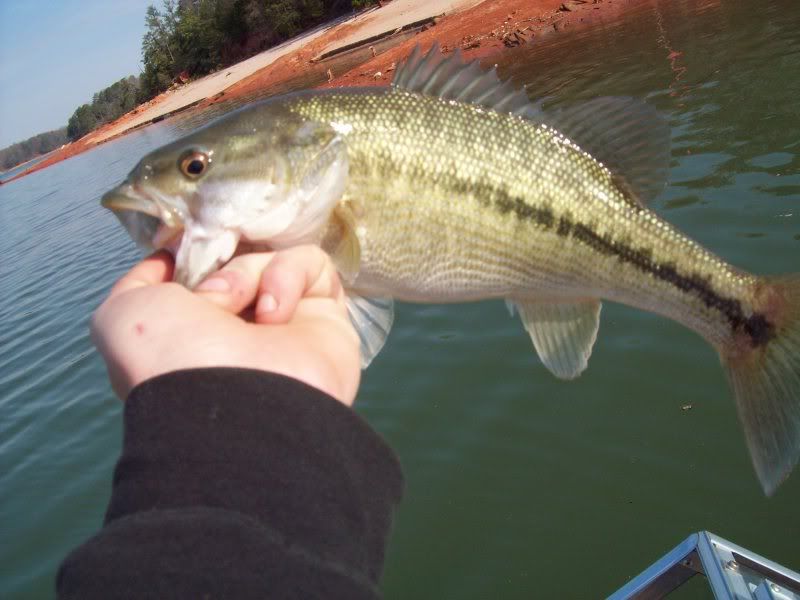 JC's 2009 Lake Lanier fishing reports 100_0231