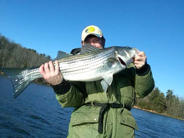 JC's 2010 Lake Lanier Fishin' Pics IMG00028-20100103-1539