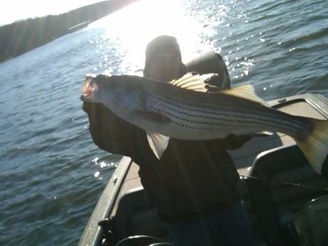 JC's 2010 Lake Lanier Fishin' Pics IMG00029-20100103-1539-1