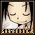 Shaman king