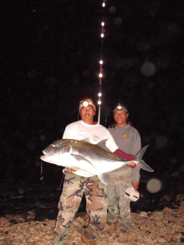 ULUA ACTION..... - Page 2 005