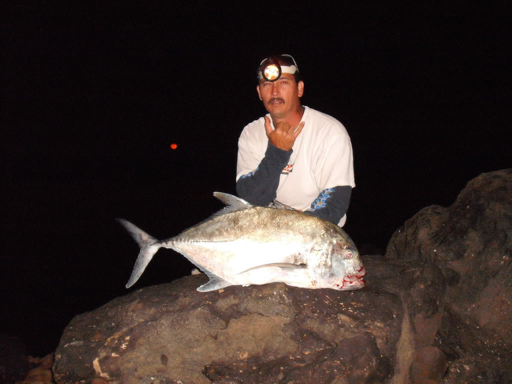 ULUA ACTION..... 028-1