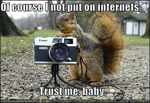 Lolcats thread! SquirrelonInternet