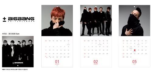 [Pics] Adelanto de Big Bang Calendar 2011 O0500023910855605778