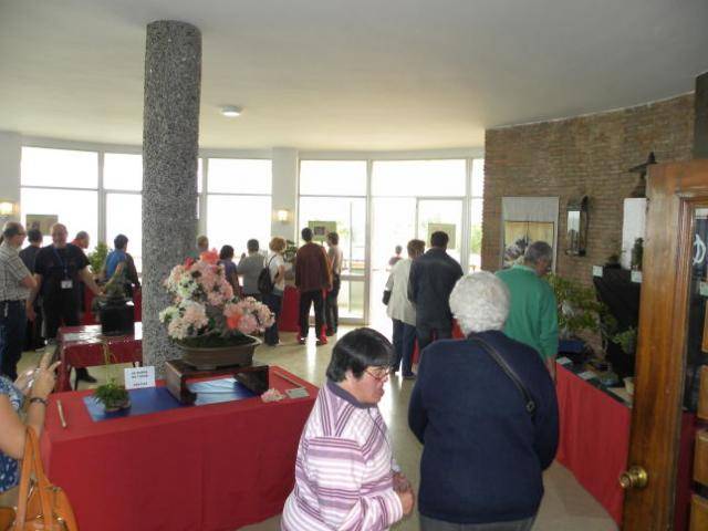 II MUESTRA SOLIDARIA DE BONSAI DE LA AXARQUIA - Página 3 DSCN0259_01_zps6b97e784