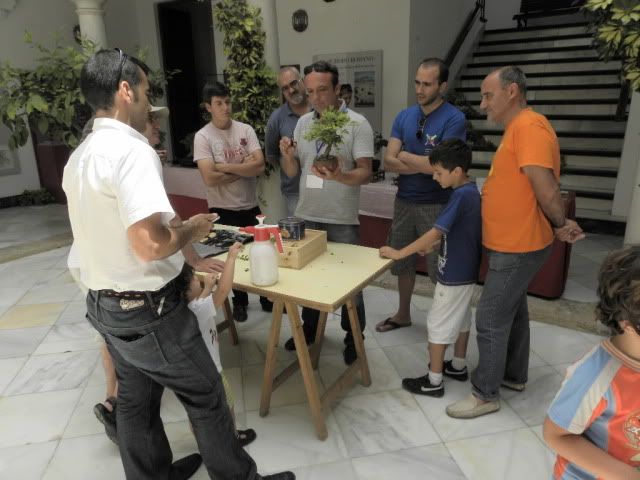 I MUESTRA SOLIDARIA BONSAI LA AXARQUIA (FOTOS).- - Página 3 DSCN0065