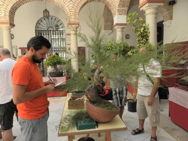 I MUESTRA SOLIDARIA BONSAI LA AXARQUIA (FOTOS).- - Página 3 DSCN0101