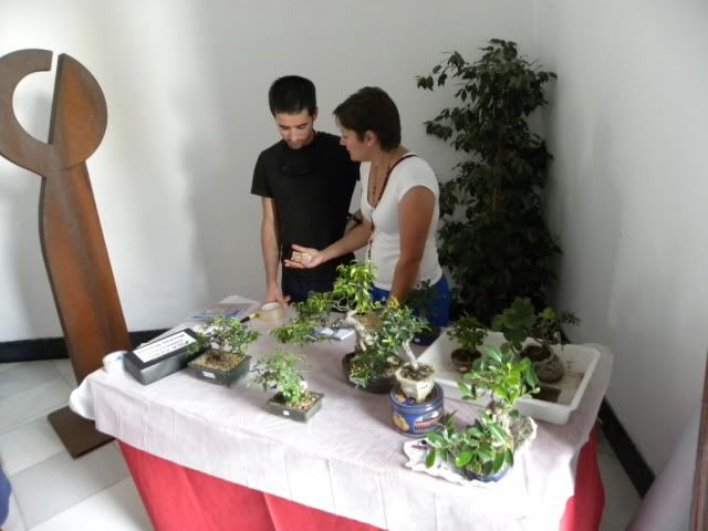 I MUESTRA SOLIDARIA BONSAI LA AXARQUIA (FOTOS).- - Página 3 DSCN9883