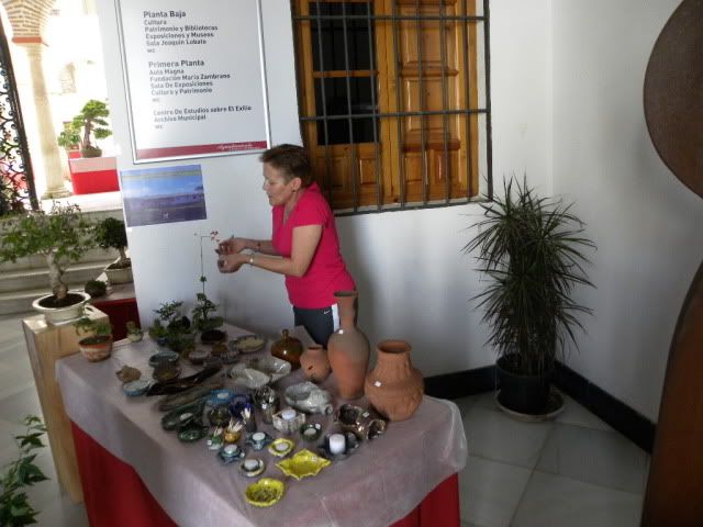 I MUESTRA SOLIDARIA BONSAI LA AXARQUIA (FOTOS).- - Página 3 DSCN9884