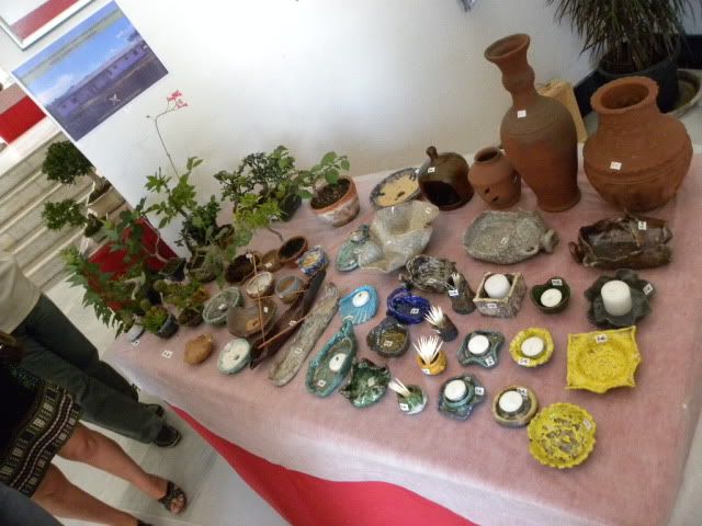 I MUESTRA SOLIDARIA BONSAI LA AXARQUIA (FOTOS).- - Página 3 DSCN9901