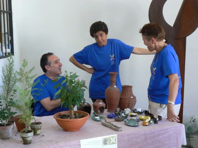 I MUESTRA SOLIDARIA BONSAI LA AXARQUIA (FOTOS).- - Página 2 P1210636