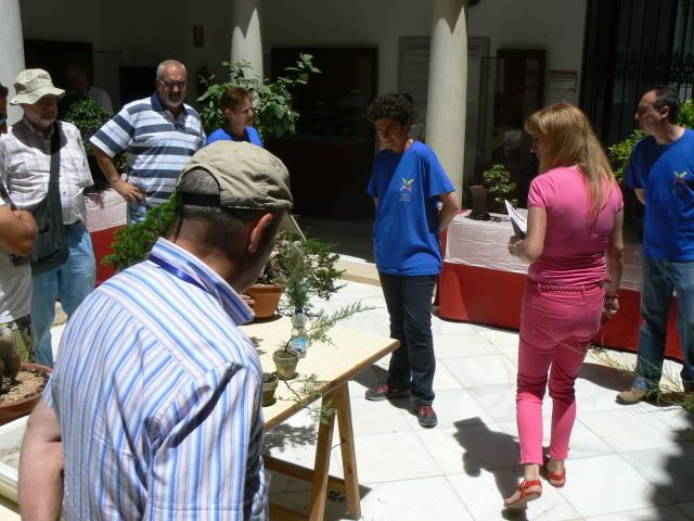 I MUESTRA SOLIDARIA BONSAI LA AXARQUIA (FOTOS).- - Página 2 P1210643