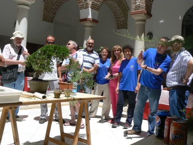 I MUESTRA SOLIDARIA BONSAI LA AXARQUIA (FOTOS).- - Página 2 P1210647