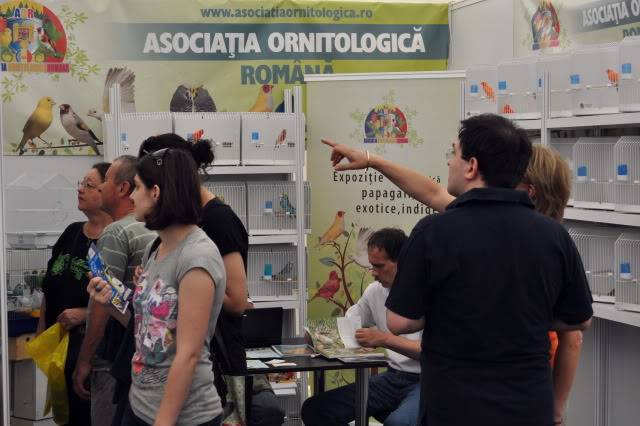 PRT EXPO BUCURESTII 2011 Picture017