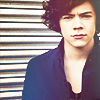 Harry Styles+ kręcone włoski Harrystylesicon