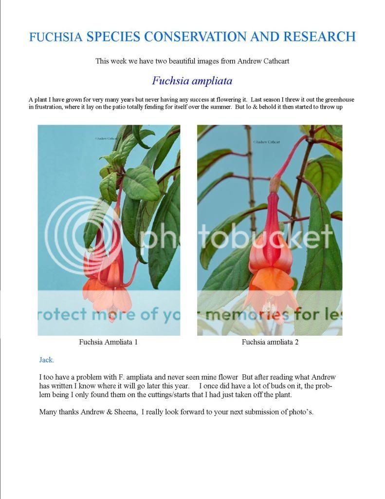 Fuchsia Species Conservat and Research News Bulletin/informa NewsGroup8