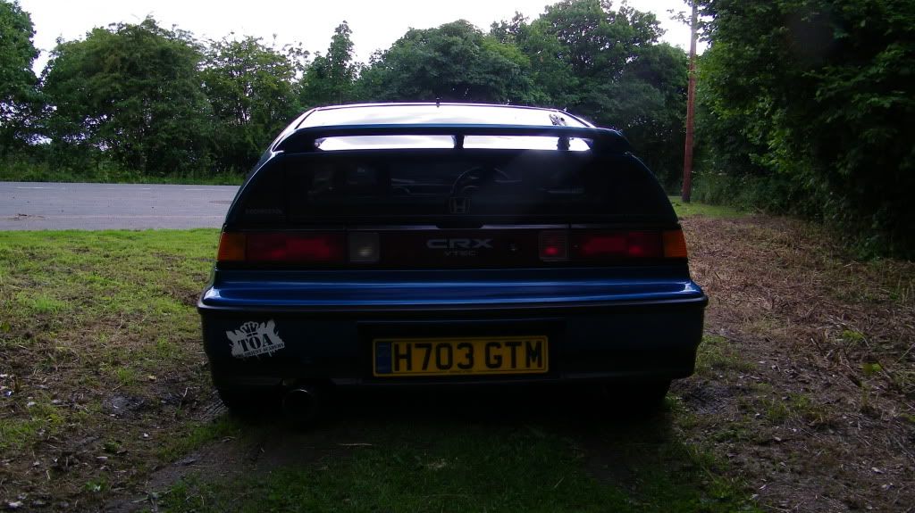 Cel Blue VT Great Example... Gutted :( (Pic Heavy) CRX045