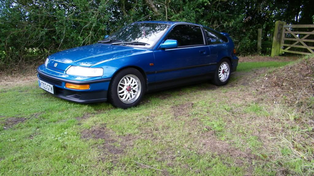 Cel Blue VT Great Example... Gutted :( (Pic Heavy) CRX047