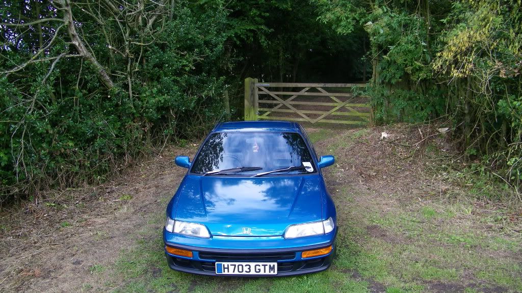 Cel Blue VT Great Example... Gutted :( (Pic Heavy) CRX049