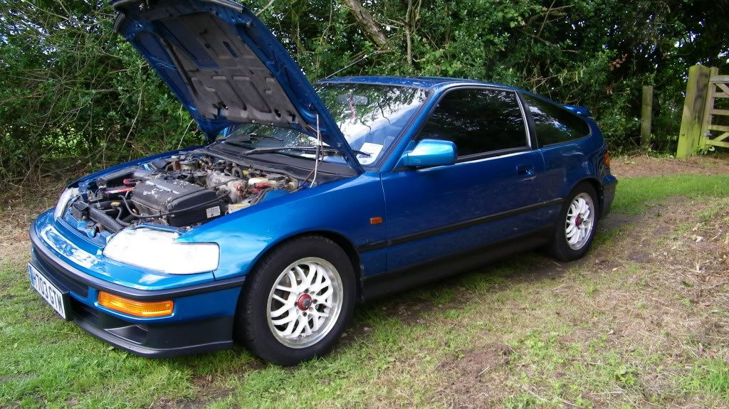 Cel Blue VT Great Example... Gutted :( (Pic Heavy) CRX055