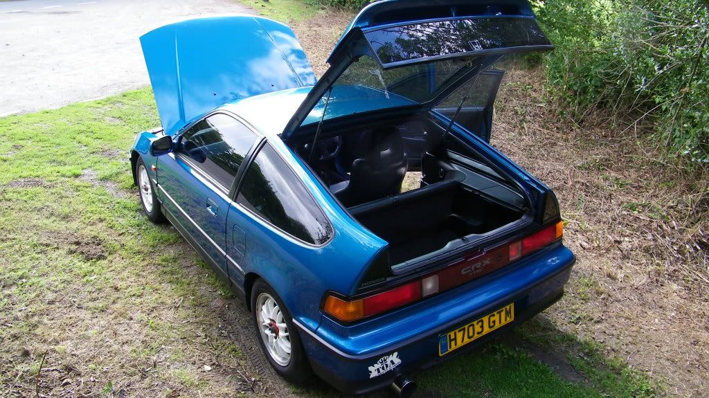 Cel Blue VT Great Example... Gutted :( (Pic Heavy) CRX056