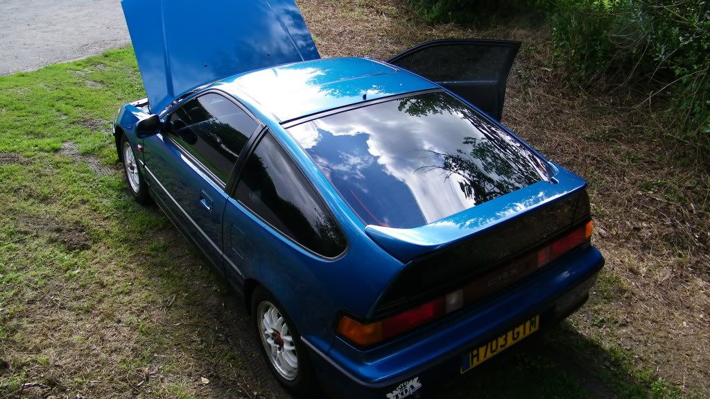 Cel Blue VT Great Example... Gutted :( (Pic Heavy) CRX058