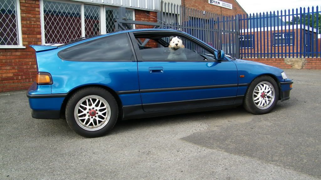 Cel Blue VT Great Example... Gutted :( (Pic Heavy) CRX069