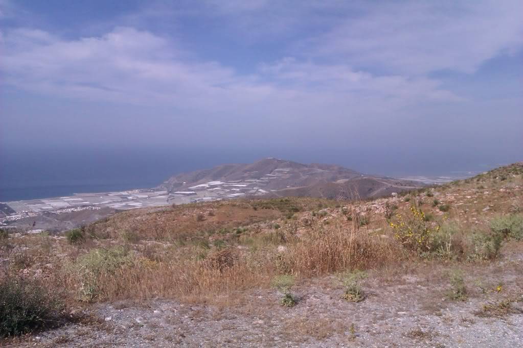 Motril - Sierra de Lújar IMAG0369