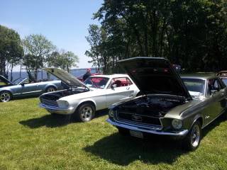 Pics from Mustangs at the Beach 20120520_114657