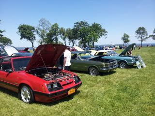 Pics from Mustangs at the Beach 20120520_114720-1