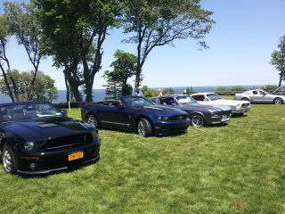 Pics from Mustangs at the Beach 20120520_115115