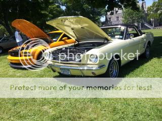 Pics from Mustangs at the Beach 20120520_115409