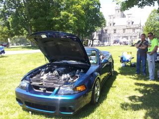 Pics from Mustangs at the Beach 20120520_115438