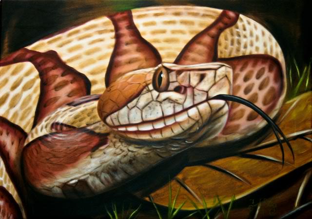 Snake paintings!!! Thecopperhead