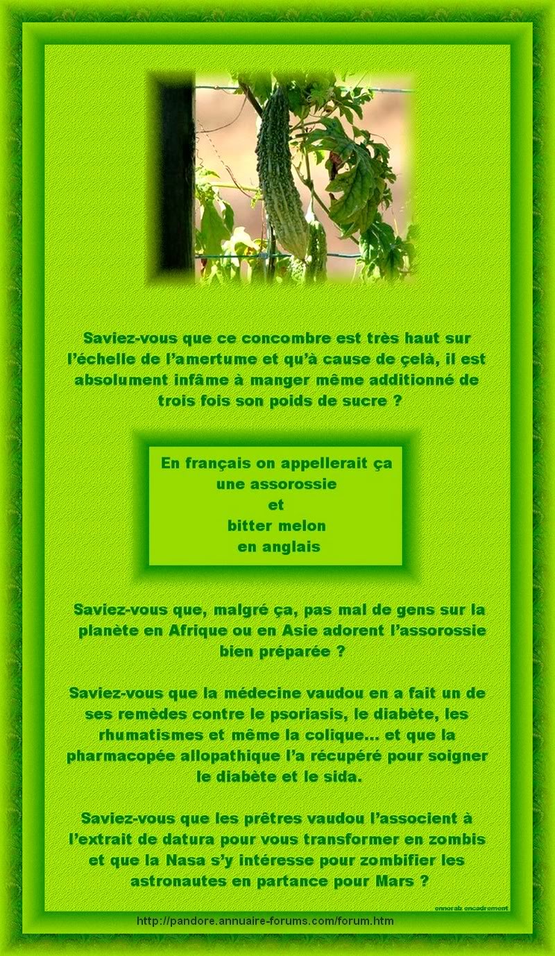 ASSOROSSIE ou BITTER MELON - LES PRETRES VAUDOU L'UTILISENT POUR VOUS TRANSFORMER EN ZOMBIE  87-1