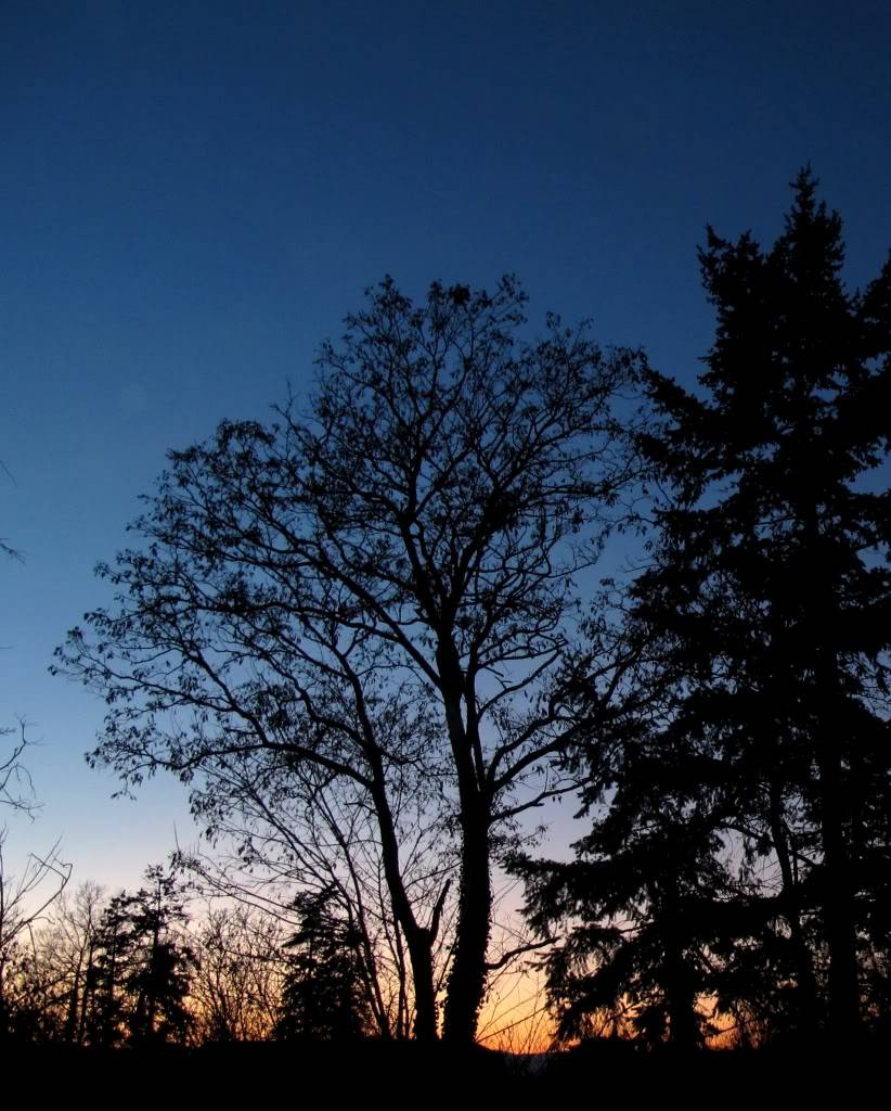 L'image du 6 février au soir CS