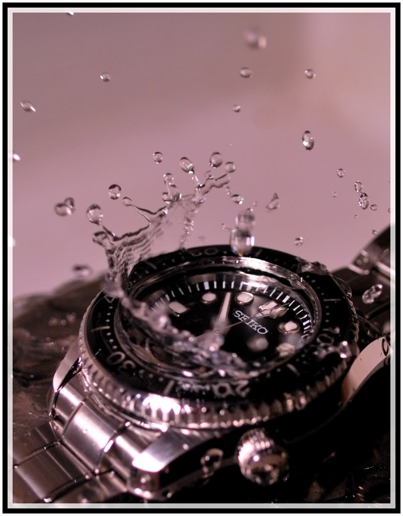 seamaster - Votre montre du jour - Page 32 MMplouf2