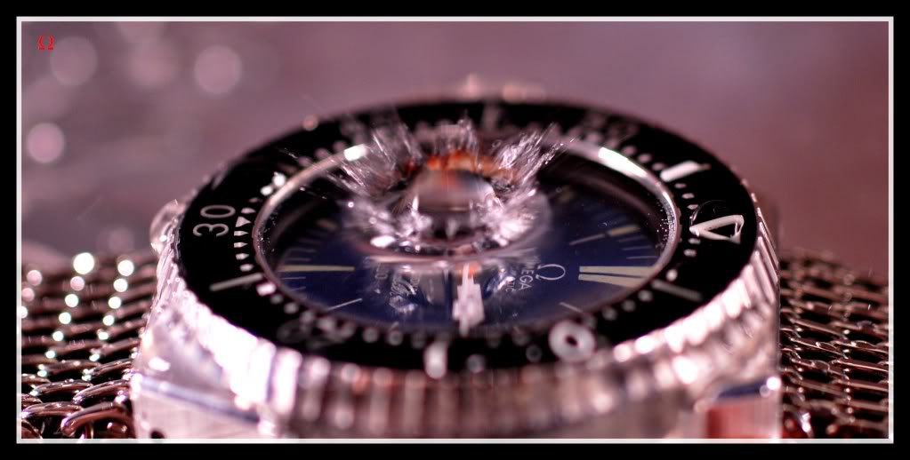 seamaster - Votre montre du jour - Page 32 Plouf2