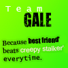 Iconos TeamGale