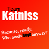 Iconos TeamKatniss