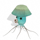 Pack de plantas de Plantas vs Zombies (nivel 4) Sea-shroom