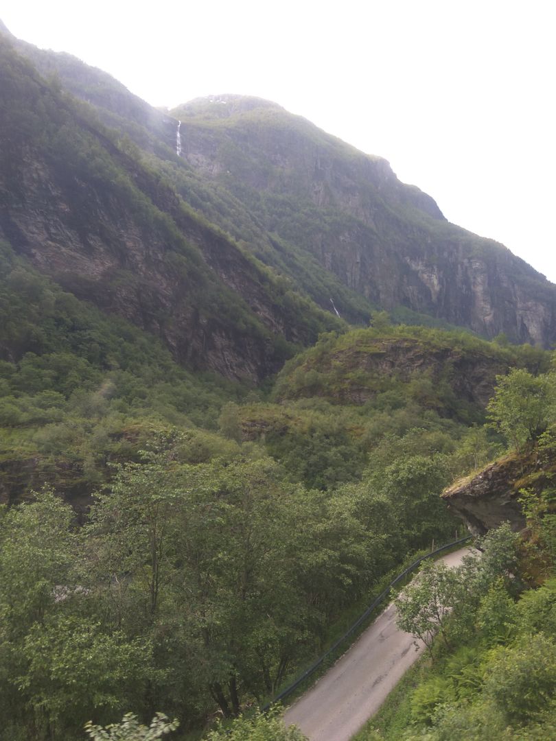 Norvegia - Calatorie Flam - Myrdal - Voss si retur cu autocarul IMG_20190628_100105_zpsbrkzgdip