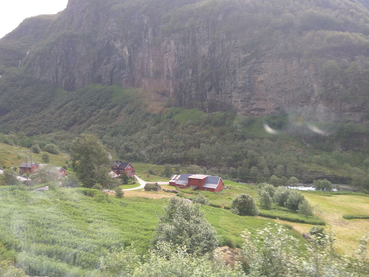 Norvegia - Calatorie Flam - Myrdal - Voss si retur cu autocarul IMG_20190628_100433_zpsrm3vnu1z