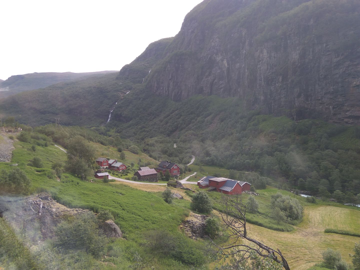 Norvegia - Calatorie Flam - Myrdal - Voss si retur cu autocarul IMG_20190628_100500_zpseyf0wlry