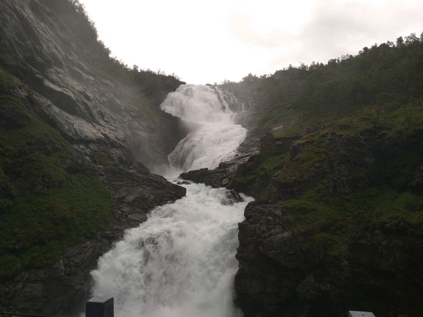 Norvegia - Calatorie Flam - Myrdal - Voss si retur cu autocarul IMG_20190628_102745_zpsj6pw2muc