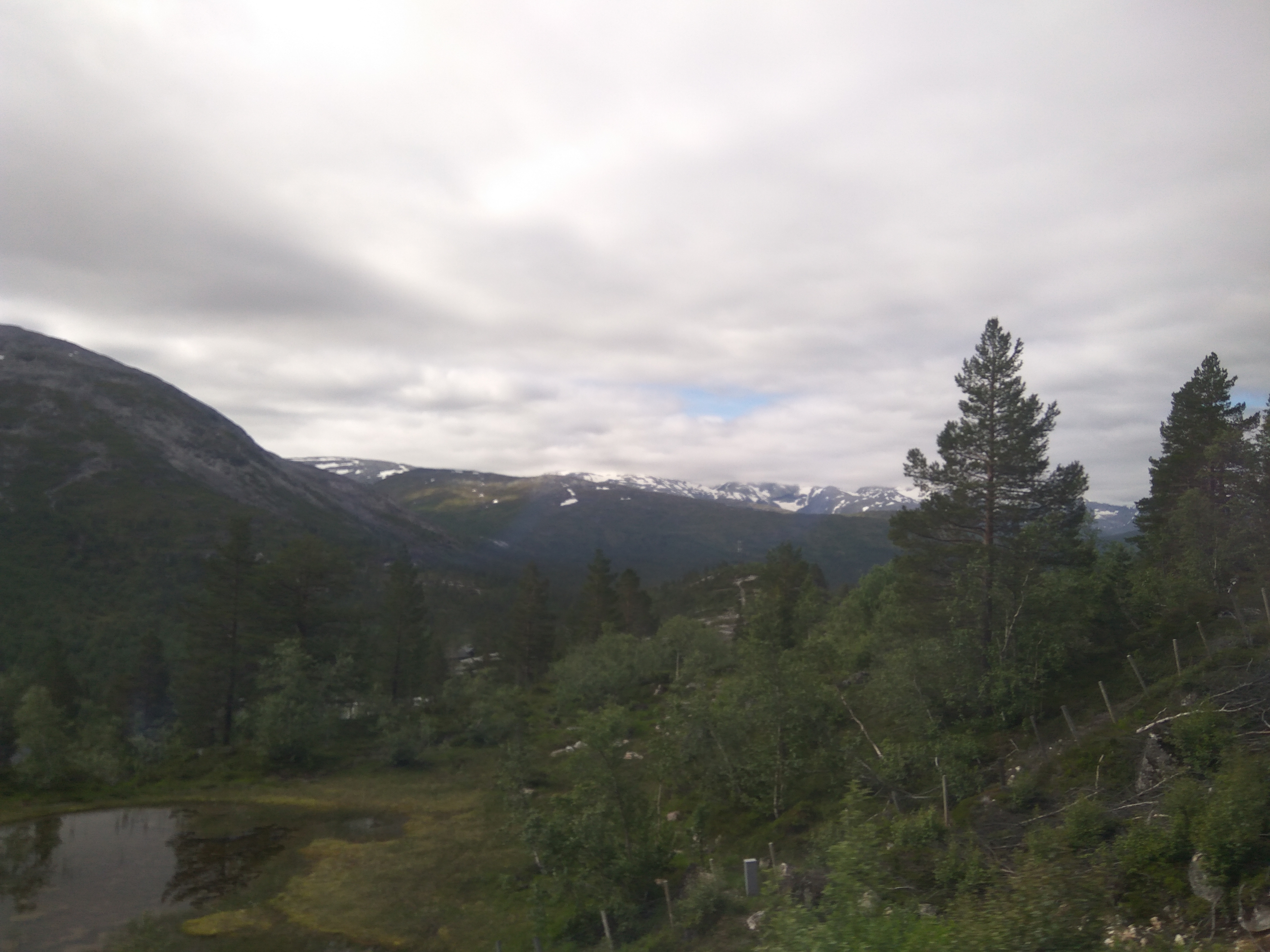 Norvegia - Calatorie Flam - Myrdal - Voss si retur cu autocarul IMG_20190628_112615_zpsg4iwvwu8