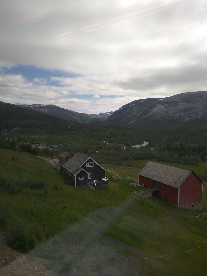 Norvegia - Calatorie Flam - Myrdal - Voss si retur cu autocarul IMG_20190628_113258_zpsb3k7jen6